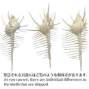 fffffffffffffeffc529ce39df71cd65ddf9ffedfffdfffdfffdfffffdf1bfff