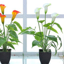 ffff7fff7fff67bf6fbf6fdbc7e5c8f3081f0781070b0f0b1fc700001f861fc7