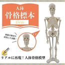 ffffc47b843ba03b883b9f209f31fff1feb1fcf1fcf9fffbfc79bffbe76bfff5