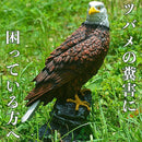 fb3f59b725fbe2c5fbbcdf71ba41fc05e801d003703d20146807d087500a401d