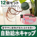 fe08c38cffc4f704f5c0ff38edf0ffbcefffffdfffdf00007fe900005bfd5a96