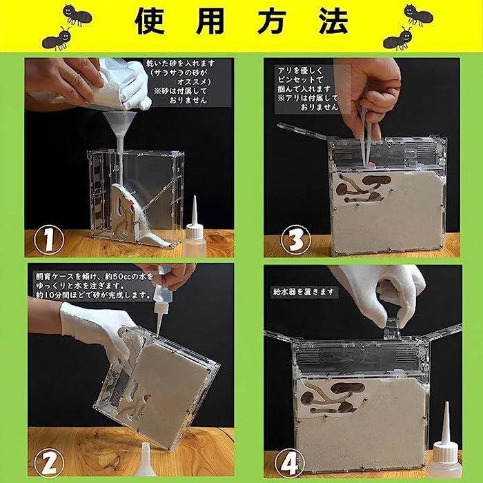 アリの巣 観察 キット 砂は別売 蟻 アリ飼育キット 飼育ケース 飼育セット 女王アリ あり アリの巣 観察 キット 砂は別売 蟻 アリ飼育キット 飼育ケース 飼育セット 女王アリ あり