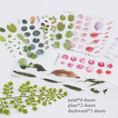 ffffffffffefeeef4c7b6c3bff1ff3f7ef9fe3f4e71ff6e1e4dfa2ff05ff2fff