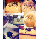 001c01583ff07ffebf7fbfff09ff01bb06ff63e5fc61383470e3c4ff40c060ff