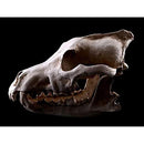 00000000003e01fe03fc063c0e0c3ffc3f887760646068c03000000800000000