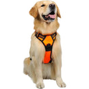 ffffff1ffe1ffc0ffe1ffe0ffe1ffe0ffe0ffc0ffc0ff80ff80ff80ffe0ffe67