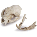 ffffffffff7ff03fc03fc07f806fc02f805f809e83bcff08ff01ffffffffffff