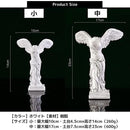 f0071c1c1c1c00000027123c0c0808080c0808180c080c0c081c0800ffffffff