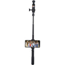 ffdffe9ffd3ffe5fffffffbfffffff7fff7f8141ffe98f5fff7fff7fff7fffff