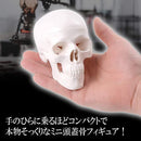 c07fcf80cff00ff80ffe1fef3fff3fdf1fdf0fff03ff00ff001f000000000000