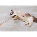 ffffffffffff000000000200e0000000000c00000000000000000000ffffffff