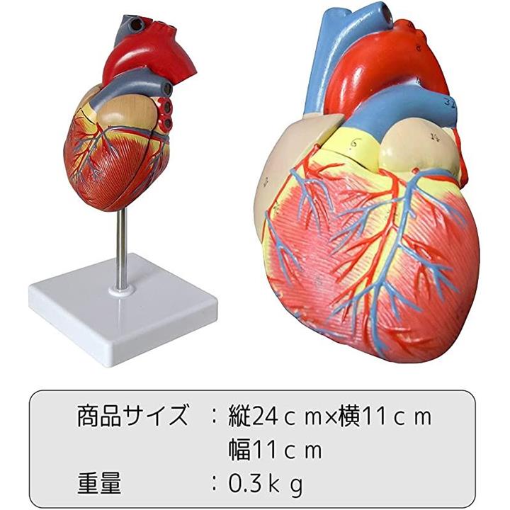 ffffffeffbc3f1e3e3c3e3a3e381ff81ff81c981f1c3f7f7ffffffffffffffff