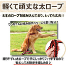 ffff941e85f7ffffffffe07def21e101f429e011e008e005f489e003fb5cf54f