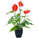 ffffff3ffc3ff8fff827f14ffc5ff81ff047f007fc0bf80ff03ffc3ffc3ffe7f