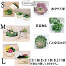 ffff871f978f808f88fffff0ffe8e0f8c0ffa09fff8d8f8f87ffacff80fff0ff