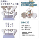 0ff3c001838181ff81e78183c181c387ffffef8fff8fff8781ffc187c3dfffff