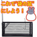 fffff7b9f40bffffe559d5d1dff9dfffdfffdfffd6d9ddb9c001ded9d001c001