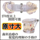 ffffc7779003d001c707ffff87ffe0ffff80800700038043ff8381fff03bf003