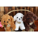 ffffffffffff400041d0000011c02bc0134041c0114499e021600102ffffffff