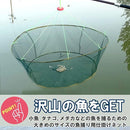 fff6fffefffeffffef86c400c00080000000000000000000dfff8d6f8fff9fff