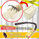 ff80ff007a6e787ffcbfffffffffffffdffffc0104fc0000d7f0001800104028