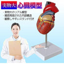 ffffa013b011ffe1f8c3f7c3f7c3ebc3ffc7f7fffffffbe7fb41e1c0e3e1e3f7