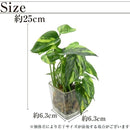 ffffcfffeffffffffc7ff8fff01ffc97ff0ffc0ffe0ffe0ffe0ffe1ffb1fffff