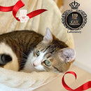 ffef67eface7ffe0ffe4fff700ff009fc10fe10f03871717e147fffbffeffffe