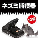 000000526afe000000000000fffffff7f8fff1f3e3ff818780038033f036f8ff