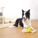 ffffffffffffffffffffffc77fc7ffe7272616203e3cfc348022002600000000