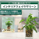 ffff8000fffffa7d9fff007f007bf7f06f906f806fc067c023217ee2ffe3ffe3