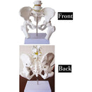 fdffc9ff80e0c9a0ea3ffabfe07fe07ff83ff81ff01fe601e401801f801f801f