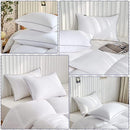 ffdf820003b0899f83fe81f88df0dc5ffc7c6e298f2487a487b8cf9f87828387