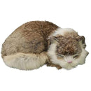 fffff83ff01fe01fe033c043f0018001800080418041be40ed0ff63dfe97e9df