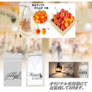 0c8f0b7f0e44040413c533edafeff557641b731af7ffff81ffa1ce81ffffff9f