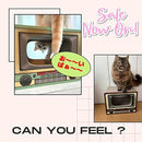 ffff81ffb9ff81ff813f803f8dbfc299cd99c228dfe8ffe8ffe0ffe0ffffde47