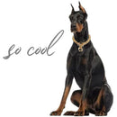 ffffffffffcfffcfffcfffc7ffc7ddc3ffc3ffc3ffc1ffa1ffa1ff80ffe1ff01