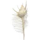 ffffffffff7ffd3ffe3ffc3ff81ffe3ffc3ffb3ffd7ffe7fff7fffffffffffff