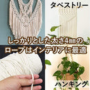 00ff20ff2bff3fff3fff1fff00a7000000010cf57eeffe63fec1fcc1e0c0c0e3