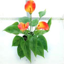 fe7ffe7ffe7ffe4fffdff8bff007c007c00ff41ff00ff00ff80ff817f83ffe7f