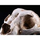 0000000003c007f807fc0fce1fc71fcf3fc73f870f830fc78f4f8e7f8e00be00