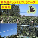 ffffdd8f857fc87f80fb807980ff95018c8180448000811c8f11bf82ff18f040