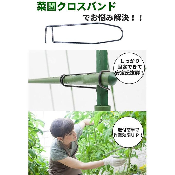 支柱ジョイント 50個 園芸 農作業 クロスバンド 固定 菜園クロスバンド 支柱 固定 ジョイント 家庭菜園 農作業 園芸 園芸支柱
