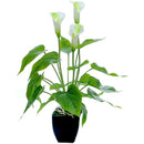 ffffffbffebffebffe3ffa1ff03fe00ff287f007f00ff03ffe1ffe3ffe3ffe7f