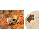 fffff9fab5f6ffeeedfedfdefffffeeffb7edd7ed27ef37ee7bef3defbdeffff