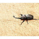 73b4fdf7fff7fd97acf7f774ff10fd82ef00dec5fd96bddfdfeb5af3d9b55b2e