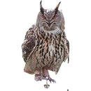 fffffffffefffe1ffe1ffc1ff81ff81ff80ff80ff80ff81ff83ffcffffffffff