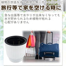 fff7fd31a521fffffffffffffffffffffc03c003c003e601ff01fe01fc03fc13