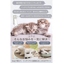 ffff8007f09c8019f65dffe3f834c0699c553fb8e8fd8000fc14c3b5e3e0ffff