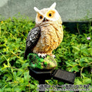 fffffffffffffeff70e0d2e0a6e0d3e47ce3fa510a4101c4f00484080c85508a